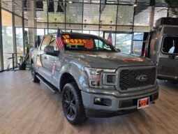 
										2019 Ford F-150 LARIAT full									