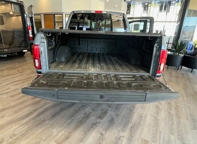 
								2019 Ford F-150 LARIAT full									